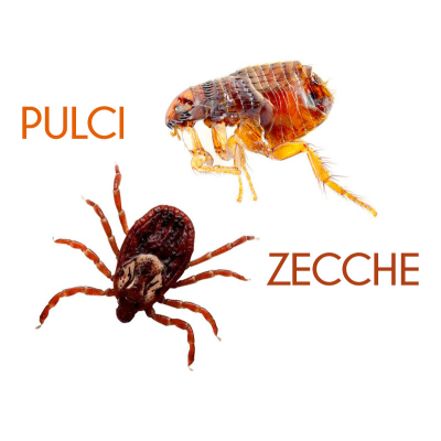 Protettori elettronici