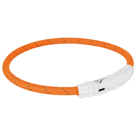 COLLARI LUMINOSI