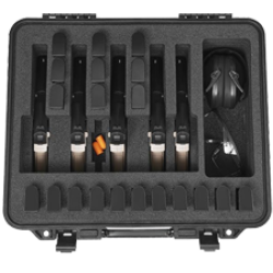 CASE FOR 6 GUNS